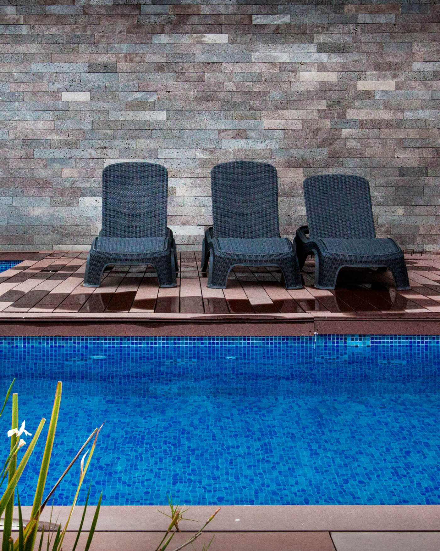 mcompany ventanal en luks townhouses